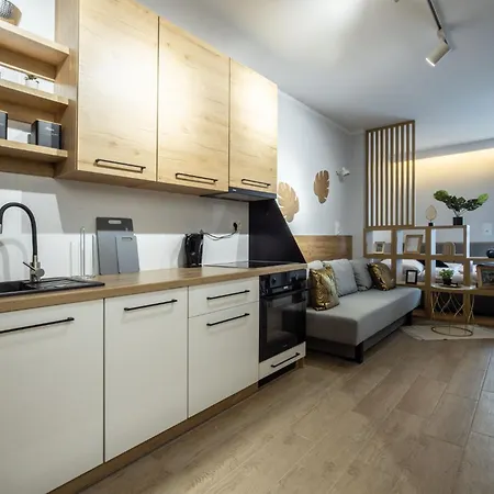 Appartement Wigurytower 101 Łódź