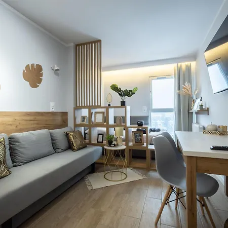 Apartment Wigurytower 101 Lodz (Lodz)